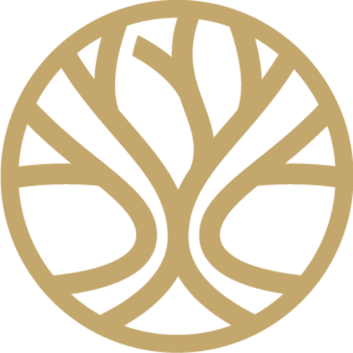 שמעון פרידברג